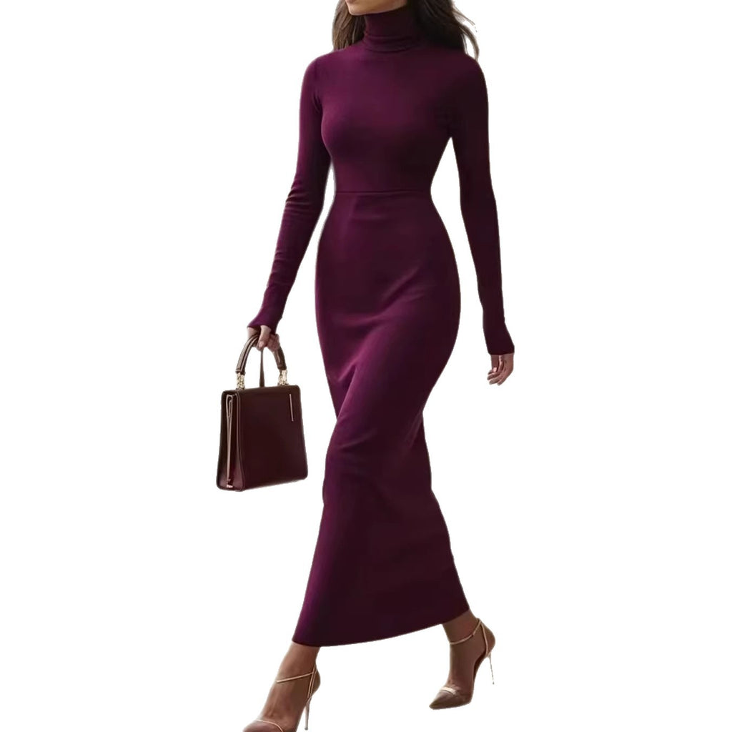 Elegant Turtleneck Slim-fit Long-sleeve Dress For Women