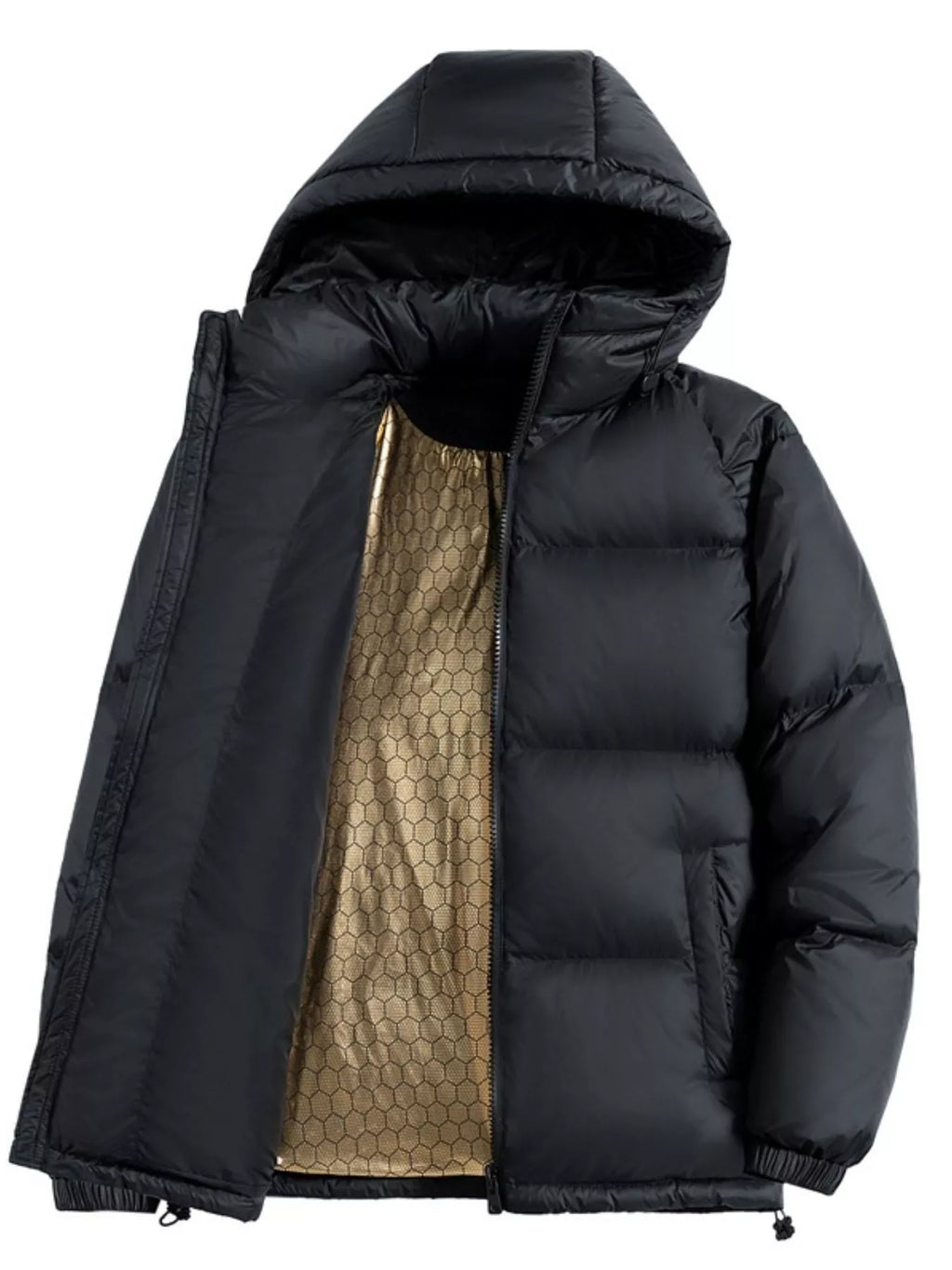 Men's Warm Padded Hooded Puffer Jacket, Plus Size